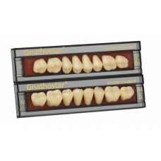 Gnathostar Laterale tanden