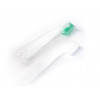 Een wegwerptandenborstel met een portie tandpasta