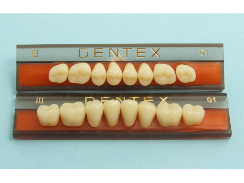 Zijtanden Dentex 8 stuks