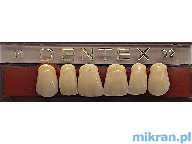 Dentex voortanden 6 st