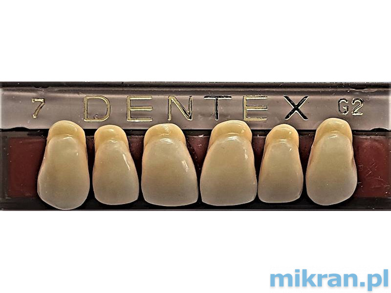 Dentex voortanden 6 st