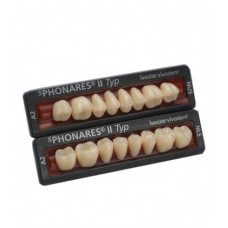 Phonares Type II composiet achterste tanden. Op aanvraag beschikbaar